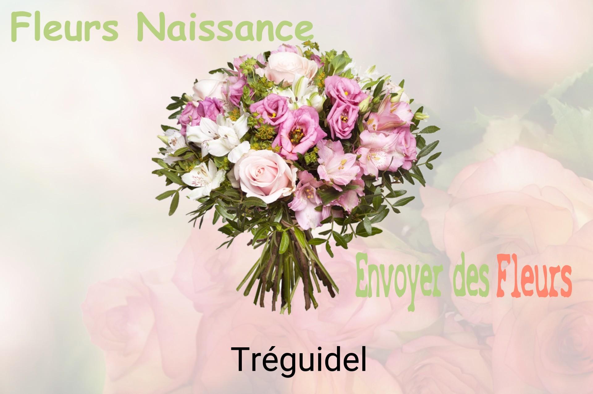 Bouquet de fleurs de naissance livré à Tréguidel